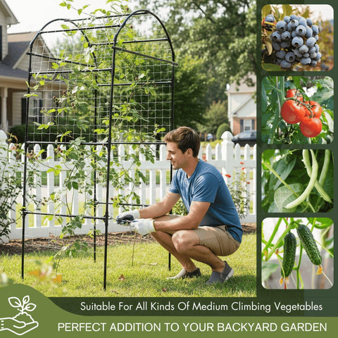 BAXAM trellis arch installed over a raised bed for easy harvest access