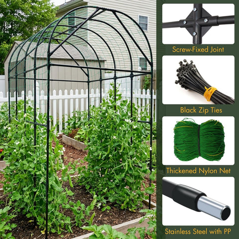 BAXAM arch supports cucumbers and tomatoes for cleaner harvests