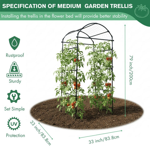 BAXAM vertical garden on arch for tidy growth of tomatoes and peas