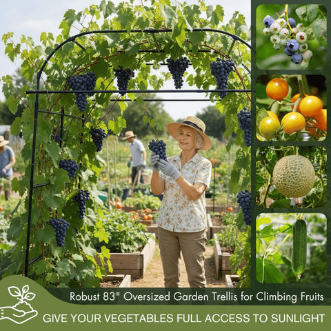 BAXAM vertical-growth garden trellis promoting upward plant growth and airflow