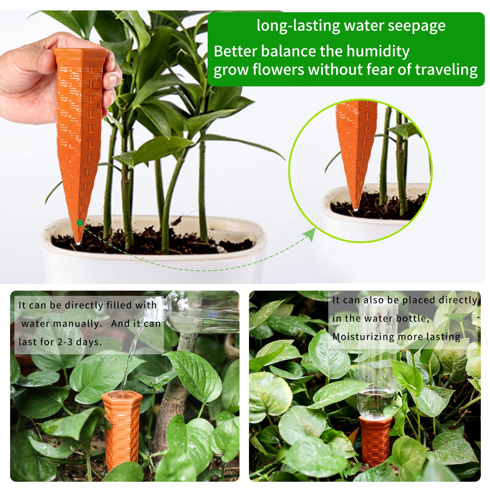 Baxrou compact design suited for small pots and balcony gardens.