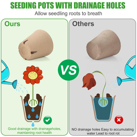 Baxrou drainage holes prevent waterlogging and support healthy roots.