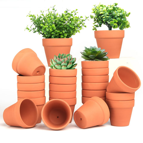 Baxrou protective packaging keeps the 24 pots secure during shipping.