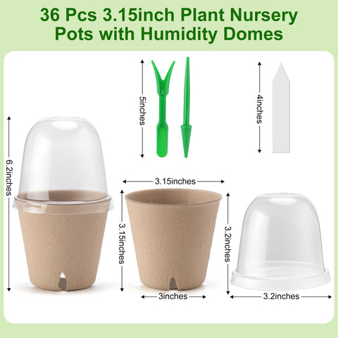 Baxrou 3.15 inch peat pots promote breathable roots and smooth transplanting.