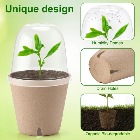 Baxrou plant labels help track herbs and seedlings through germination.