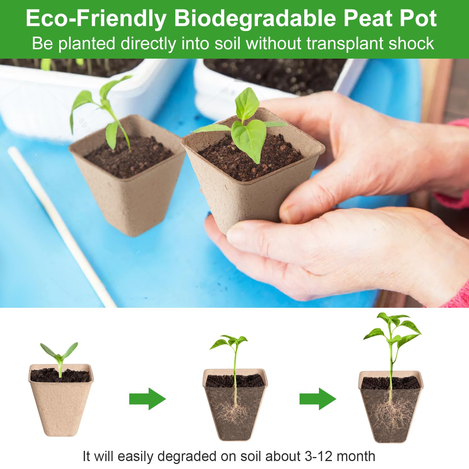 Baxrou planting labels pack organized on a table