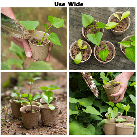 Baxrou peat pots use recycled pulp to promote eco-friendly germination.