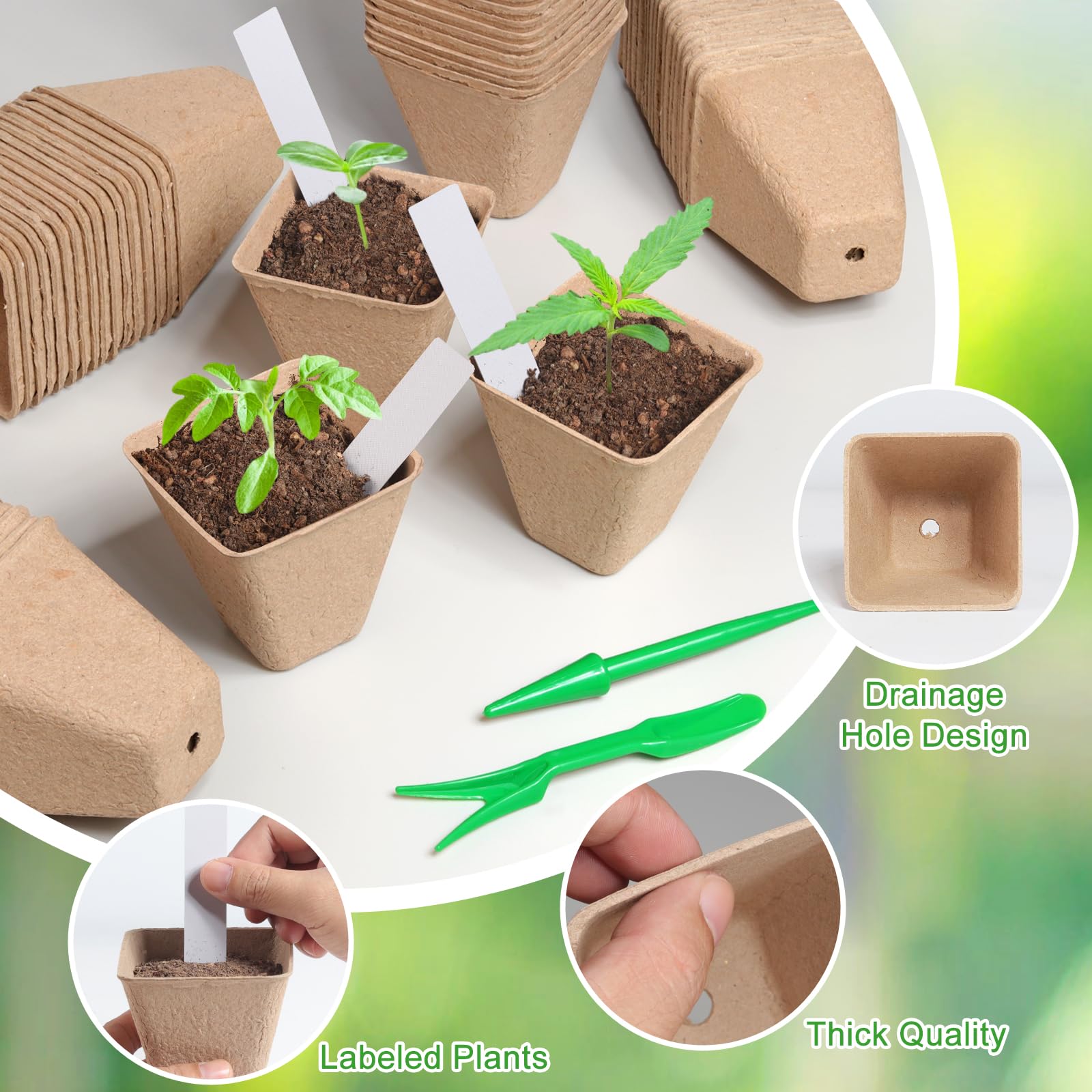 Baxrou recycled pulp seedling pots in use on a tray