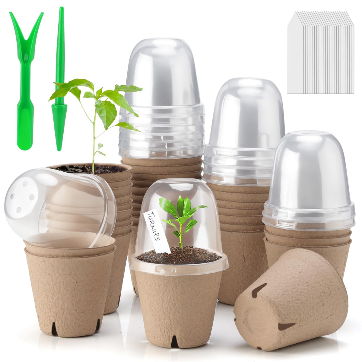 Baxrou seed pots with humidity dome allow easy germination monitoring.
