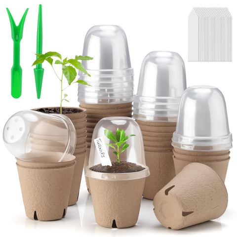 Baxrou seed pots with humidity dome allow easy germination monitoring.
