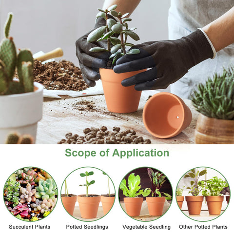 Baxrou terracotta pot for succulents on balcony adding natural texture.