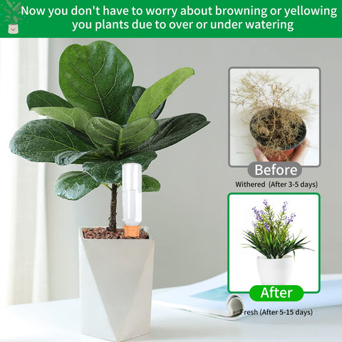 Baxrou travel-friendly plant waterer keeps plants hydrated during trips.