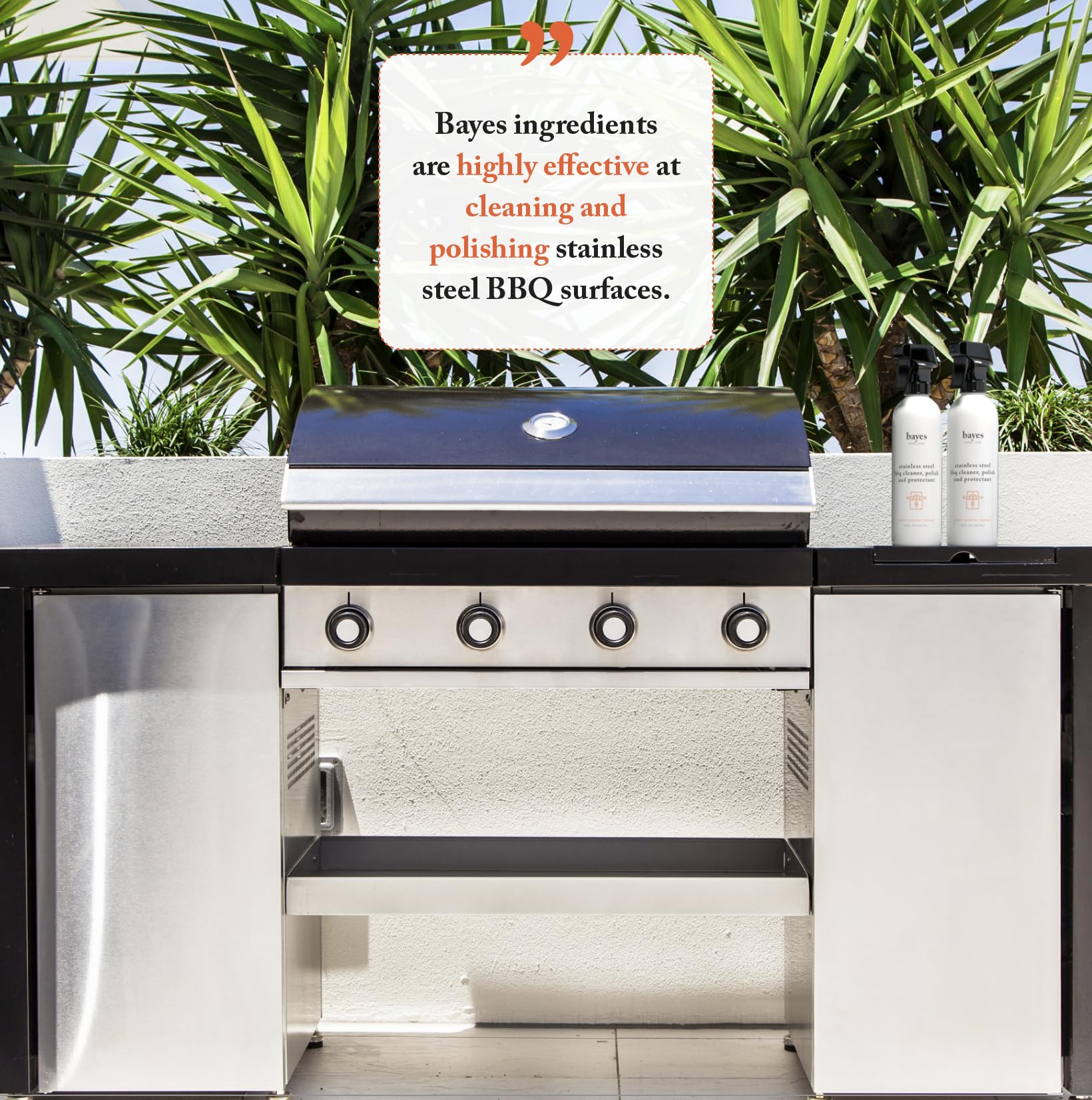 Bayes stainless steel BBQ protectant spray provides lasting shine and weather resistance.