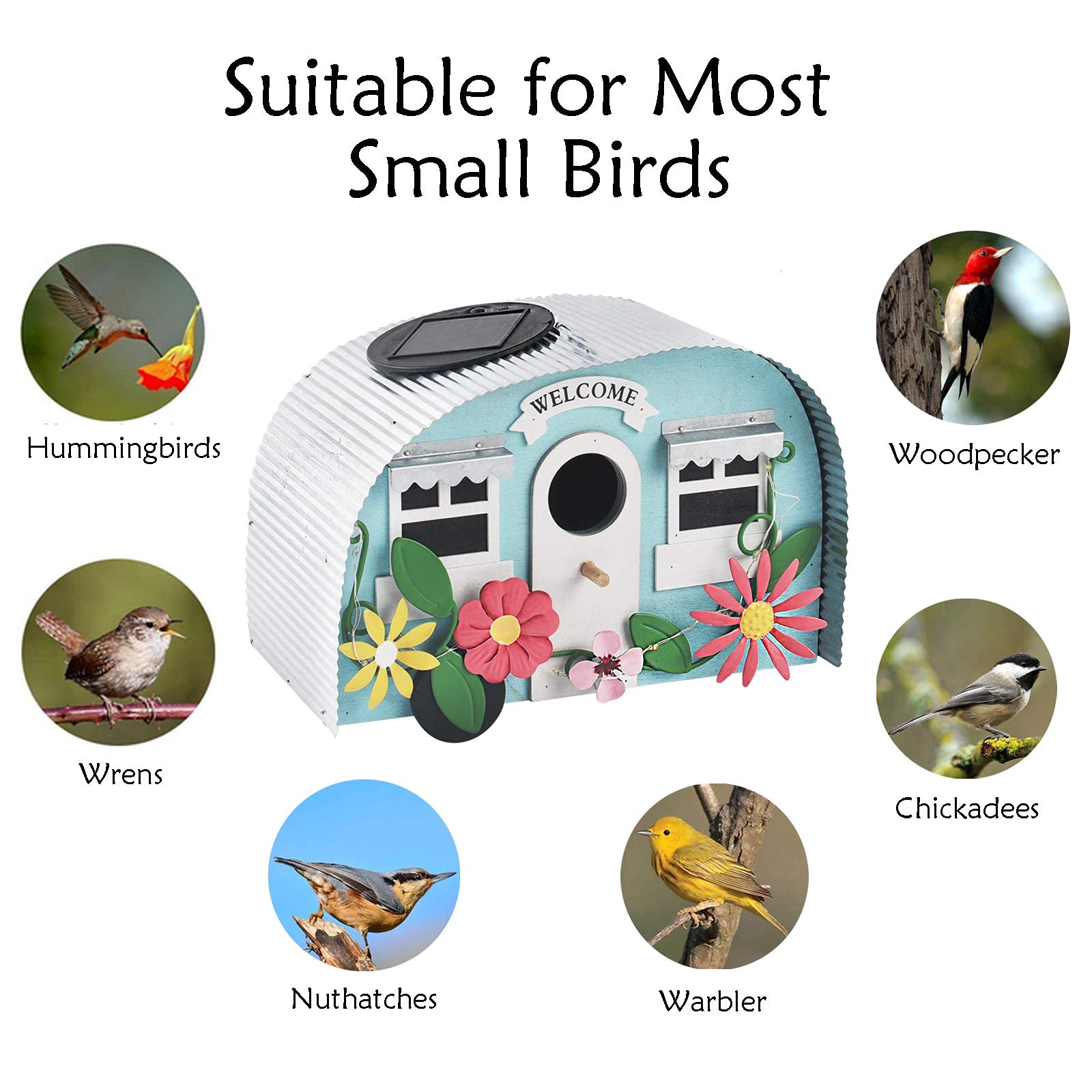 BAYN garden art bird watcher display adds charm to yard