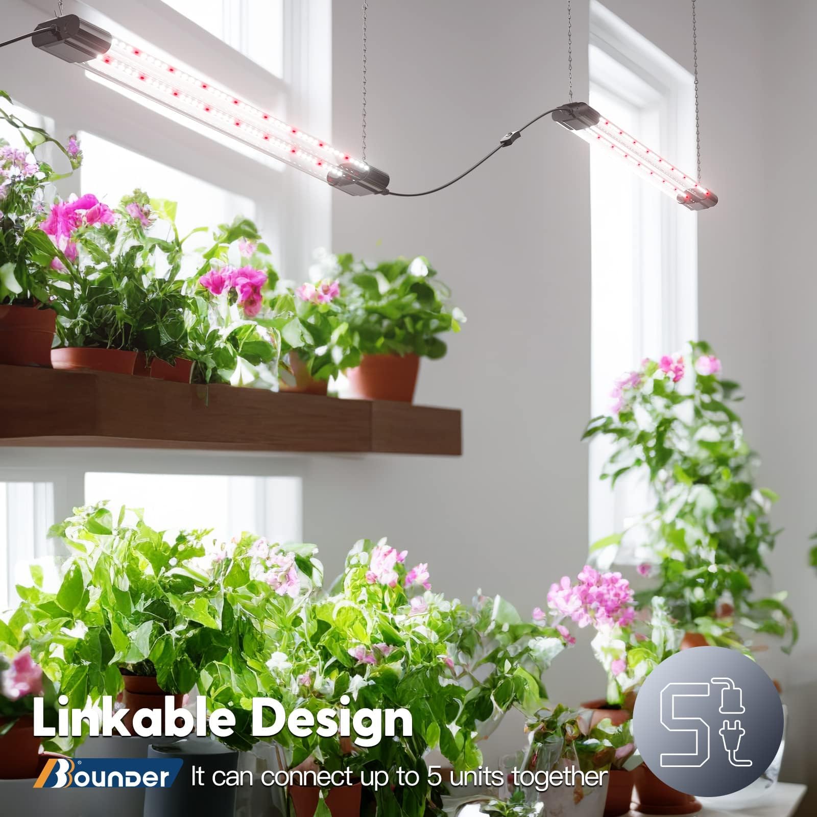 BBOUNDER light fits in dark corners and shelves for indoor gardens.