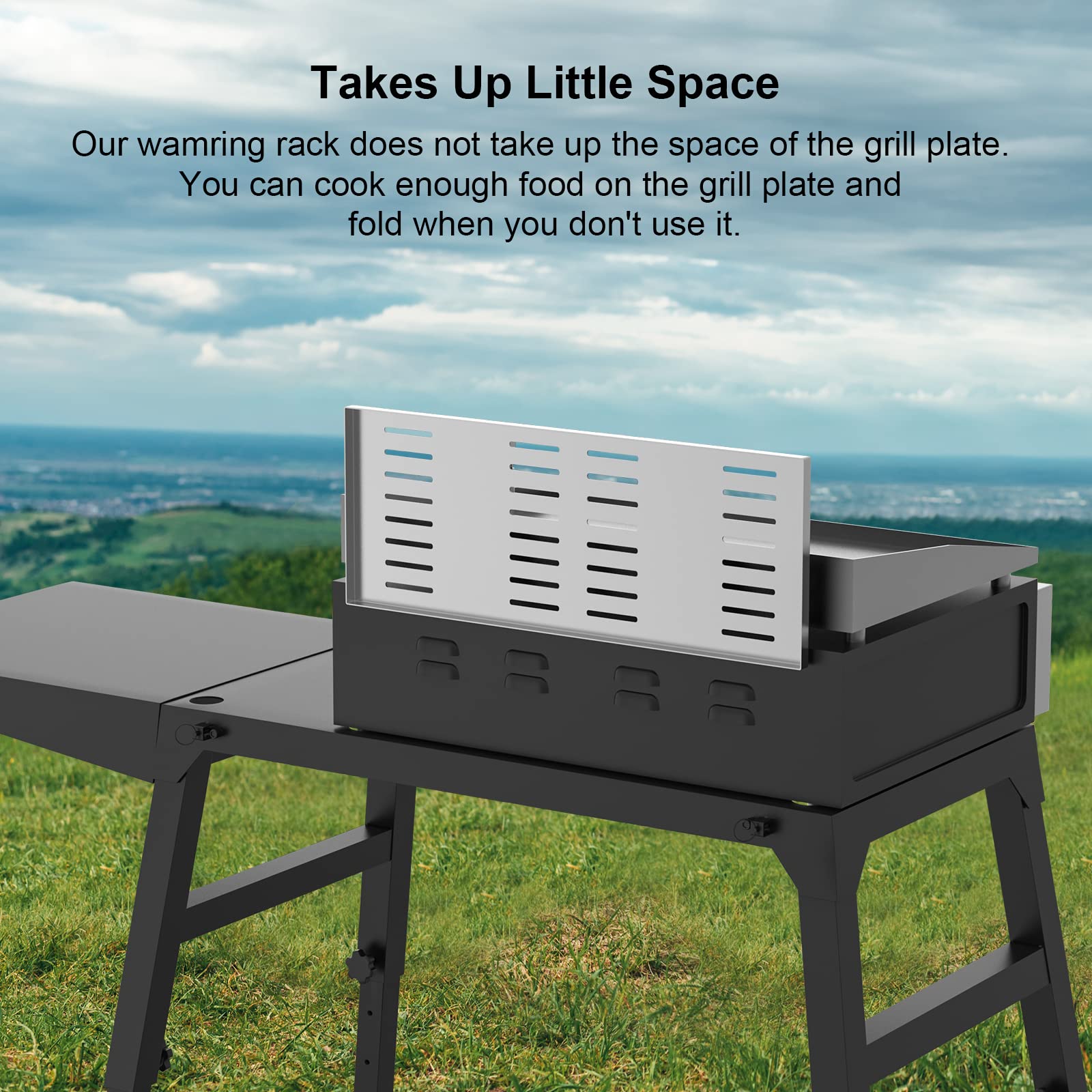 BBQ-PLUS rack keeps condiments and tools within easy reach.