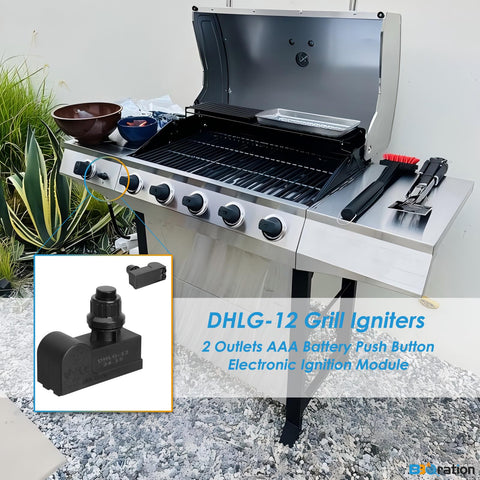 BBQration DHLG-12 back view showing dual outlets