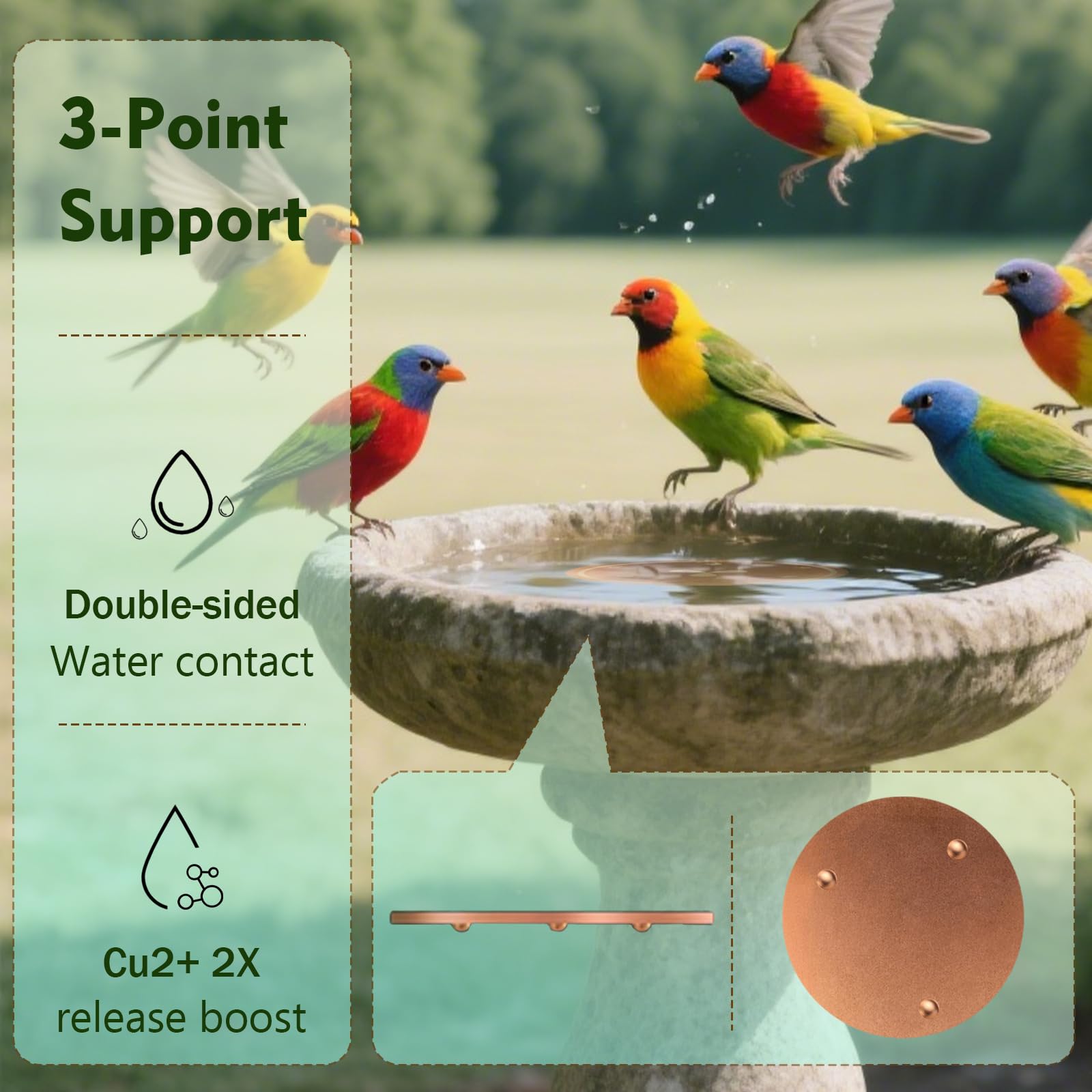 BBRGIRL copper-disk in bird bath bowl and fountain for cleaner water.