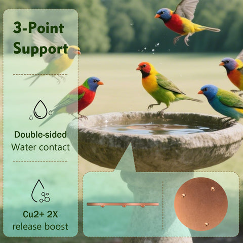 BBRGIRL copper-disk in bird bath bowl and fountain for cleaner water.