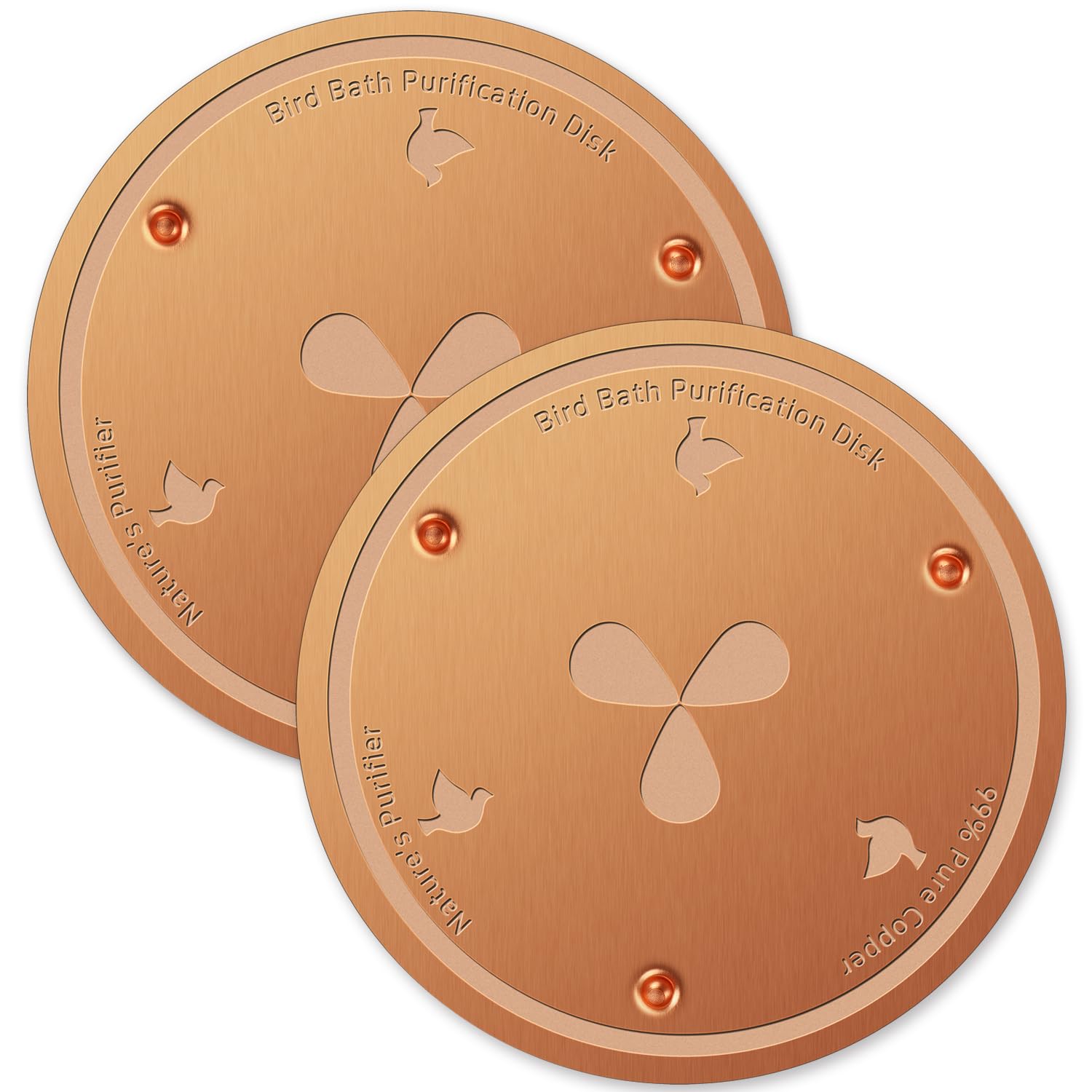 BBRGIRL copper-disk dual pack in outdoor bird bath for extended water freshness.