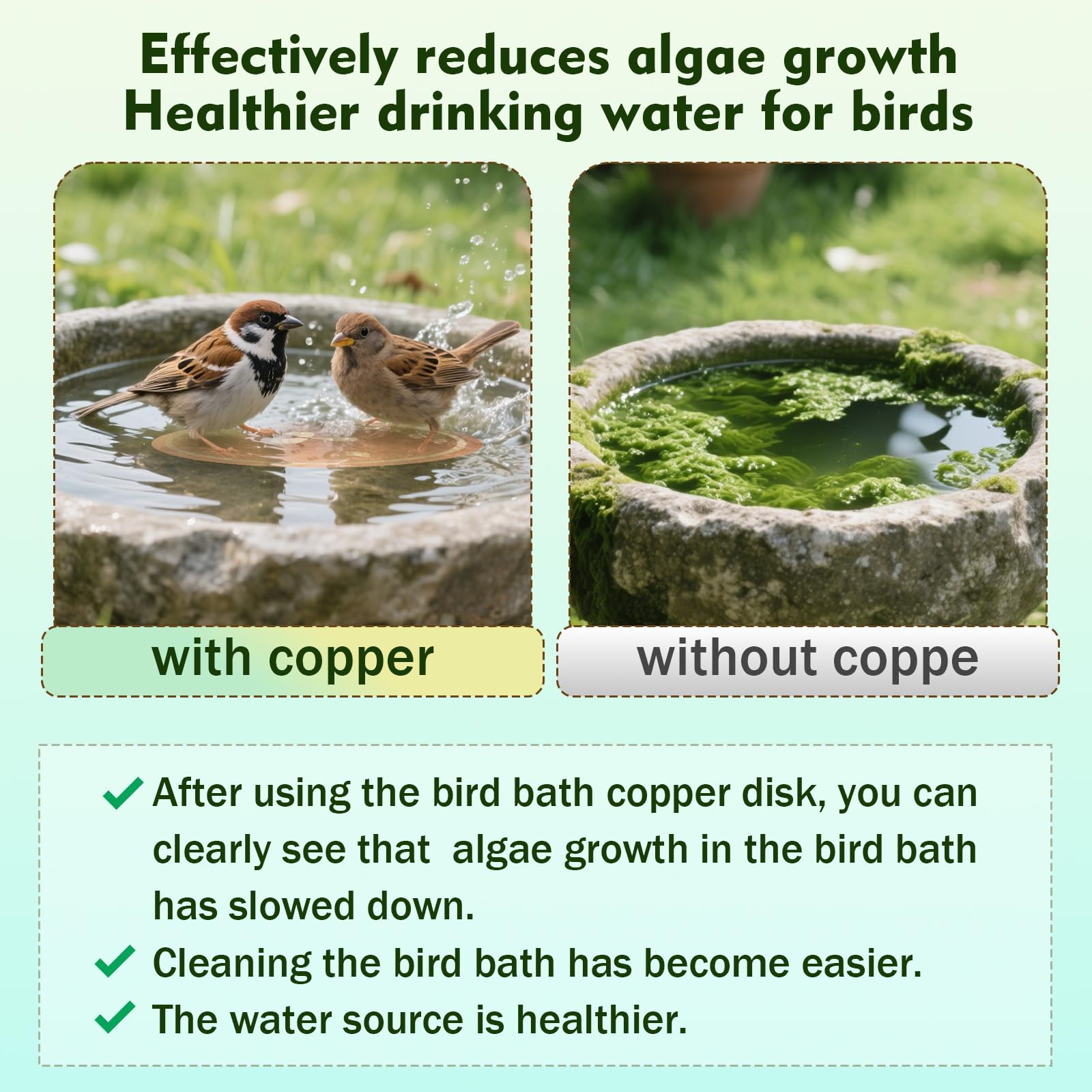 BBRGIRL copper disk demonstrates all-weather performance for year-round use.