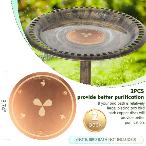BBRGIRL copper disk purifies water in bird baths for easier maintenance.
