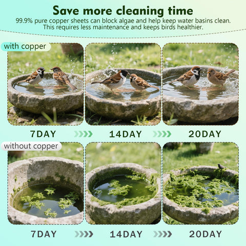 BBRGIRL debris-removal copper disk helps keep water cleaner by trapping particles.