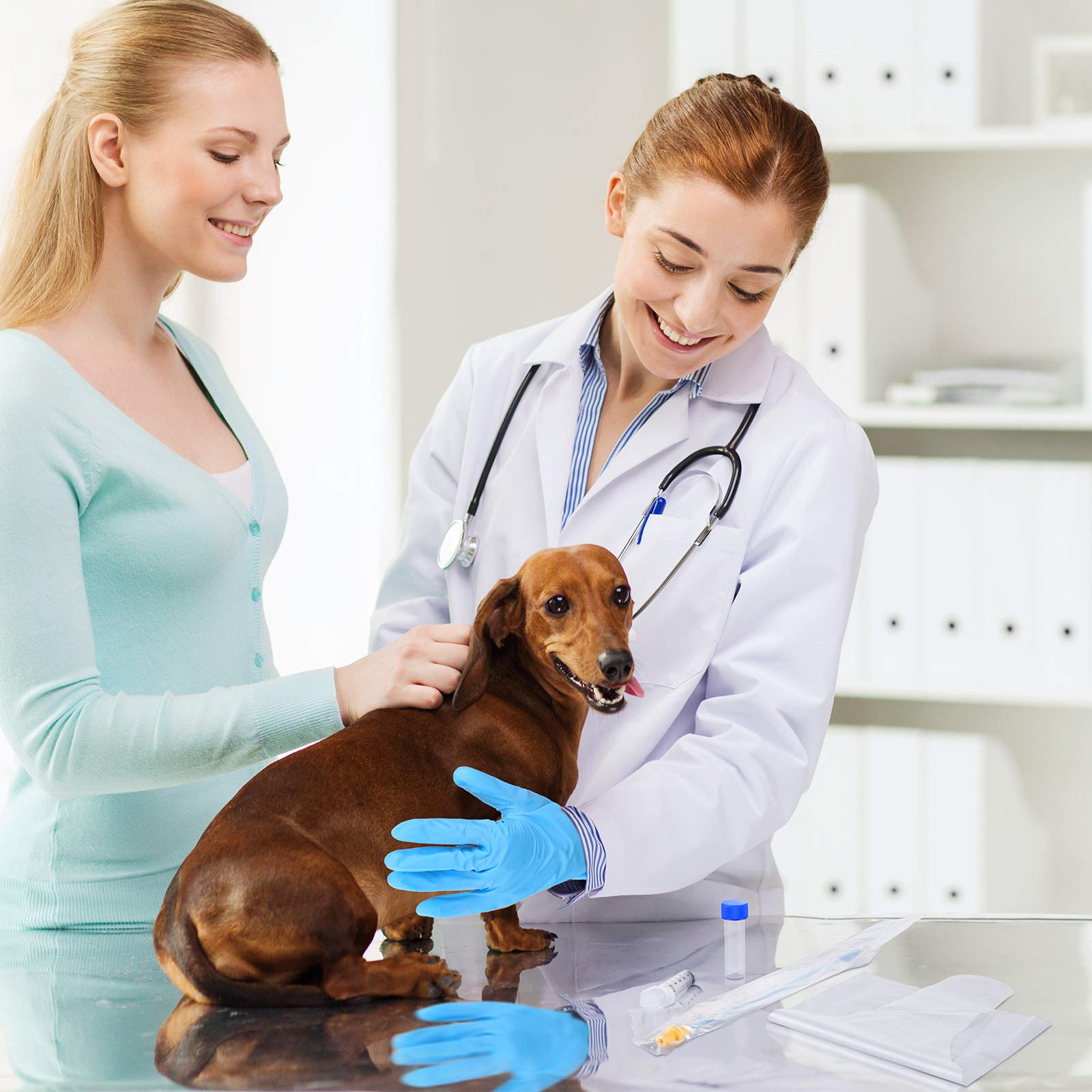 BBTO dog breeding kit packaging shows organized contents for quick AI setup.