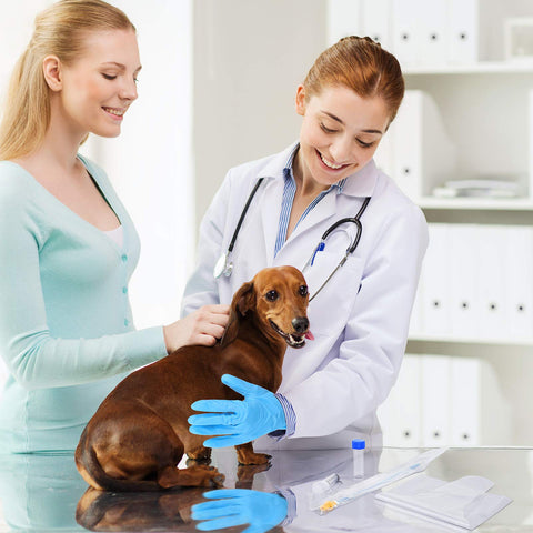 BBTO dog breeding kit packaging shows organized contents for quick AI setup.