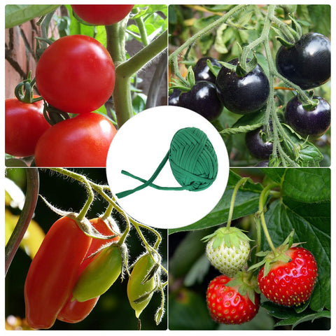 BBTO vine and shoot support holds stems securely without damage