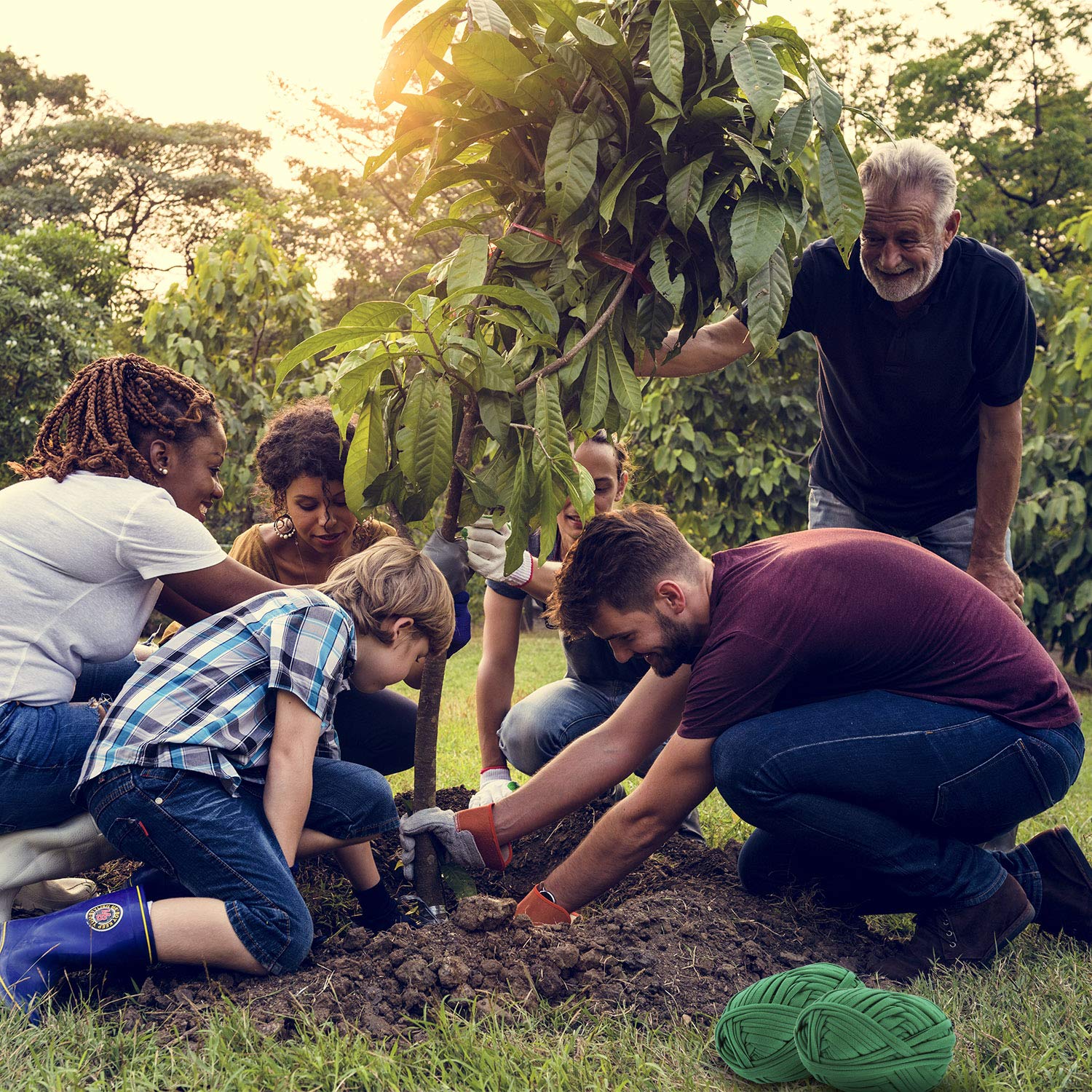 BBTO young tree support helps saplings grow upright with gentle hold