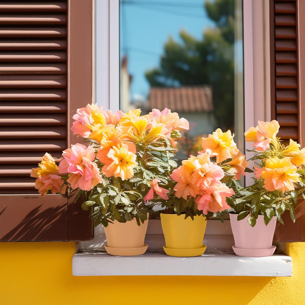 Durable resin plastic pots from Bchjatk withstand sun and last seasons