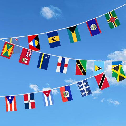 BCLin Caribbean flag banner indoors ideal for shops, bars, and parties.