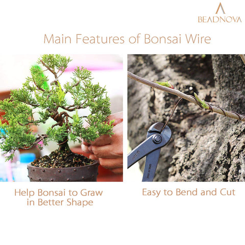 BEADNOVA bonsai wire used in floral arrangements and crafts.