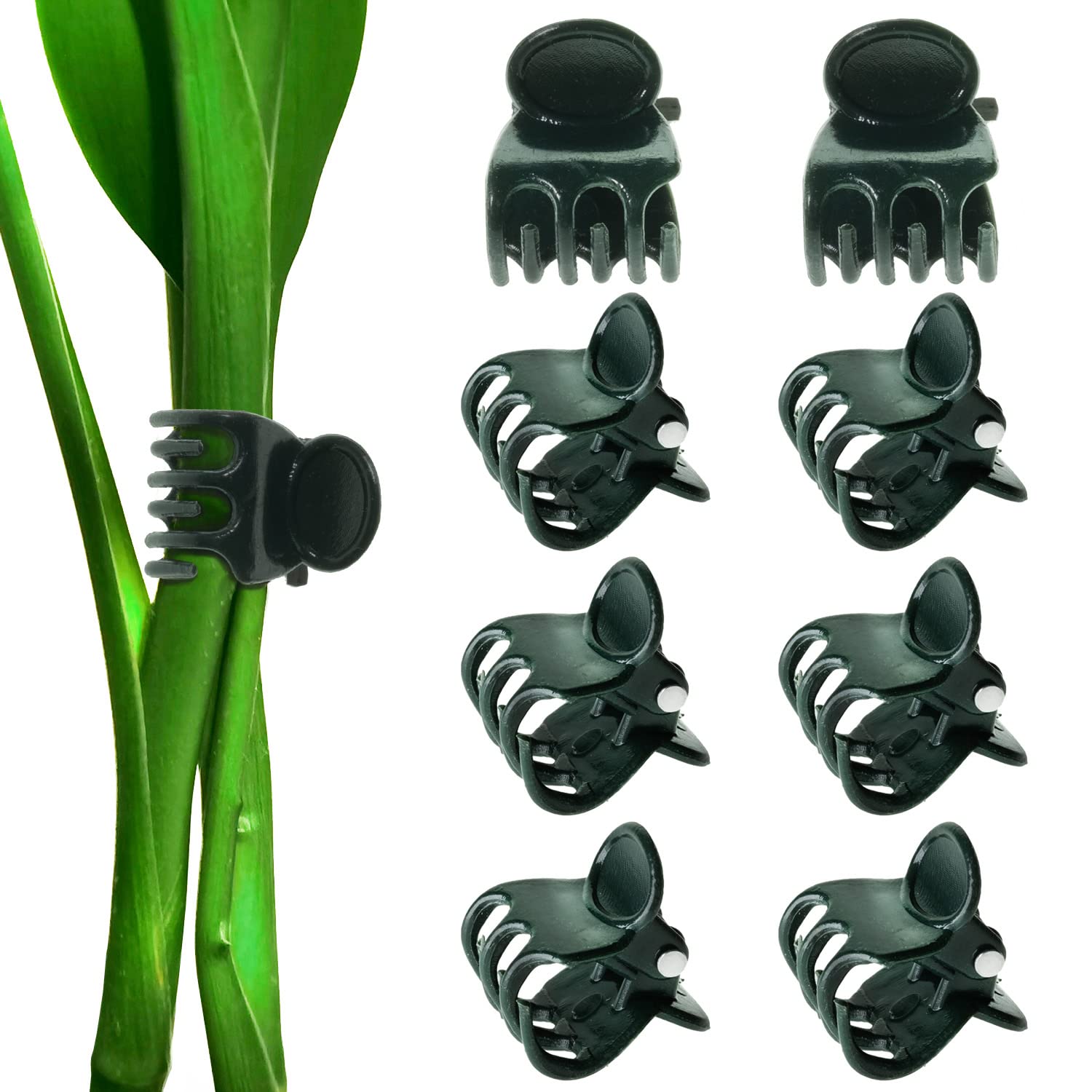 BEADNOVA orchid clips pack 100pcs for secure spike support
