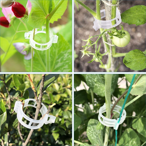 Beaneed clips compatible with bamboo stakes and wire frames for versatile setups.