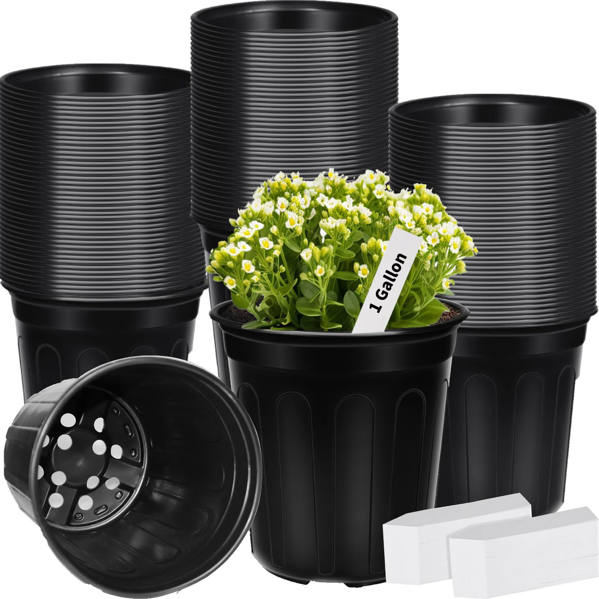 BeapTcely 1-gallon plastic plant pot with labels for easy seedling tracking
