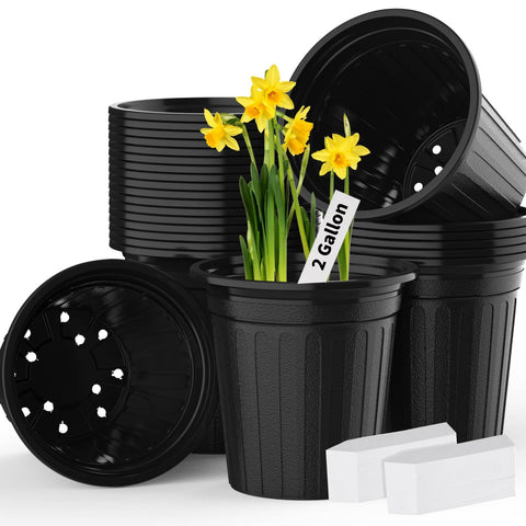 BeapTcely 24-pcs 2-gallon nursery pots for seed starting and transplanting.