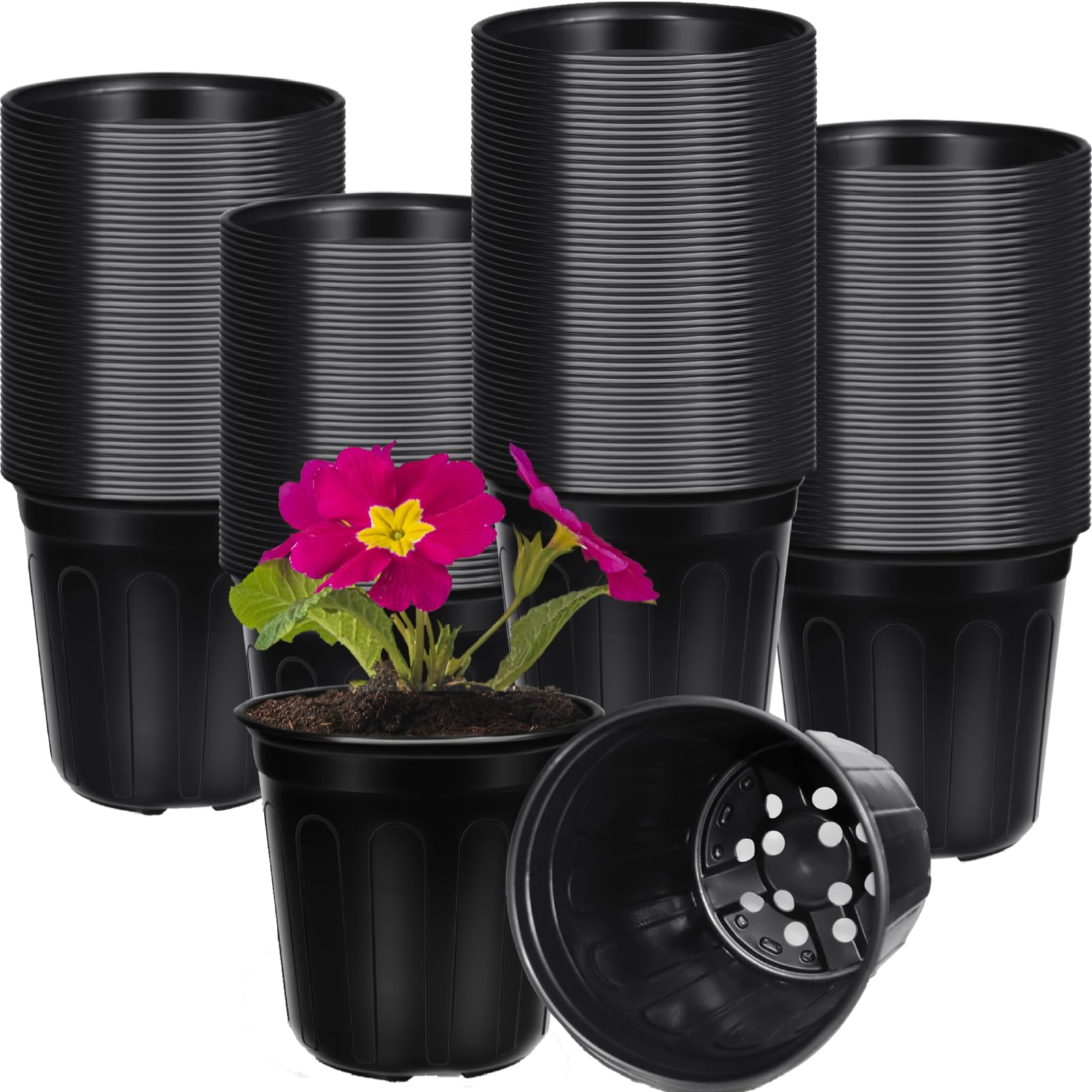 BeapTcely 2-gallon nursery pot top view with drainage for seedlings