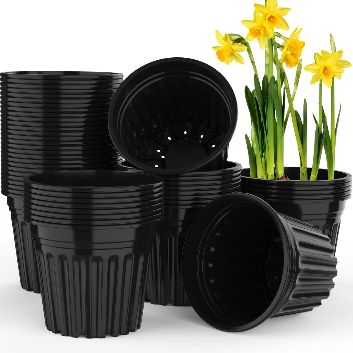 BeapTcely 3-gallon planter pack for seed starting and transplanting