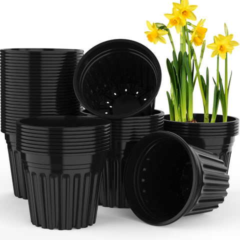 BeapTcely 3-gallon planter pack for seed starting and transplanting