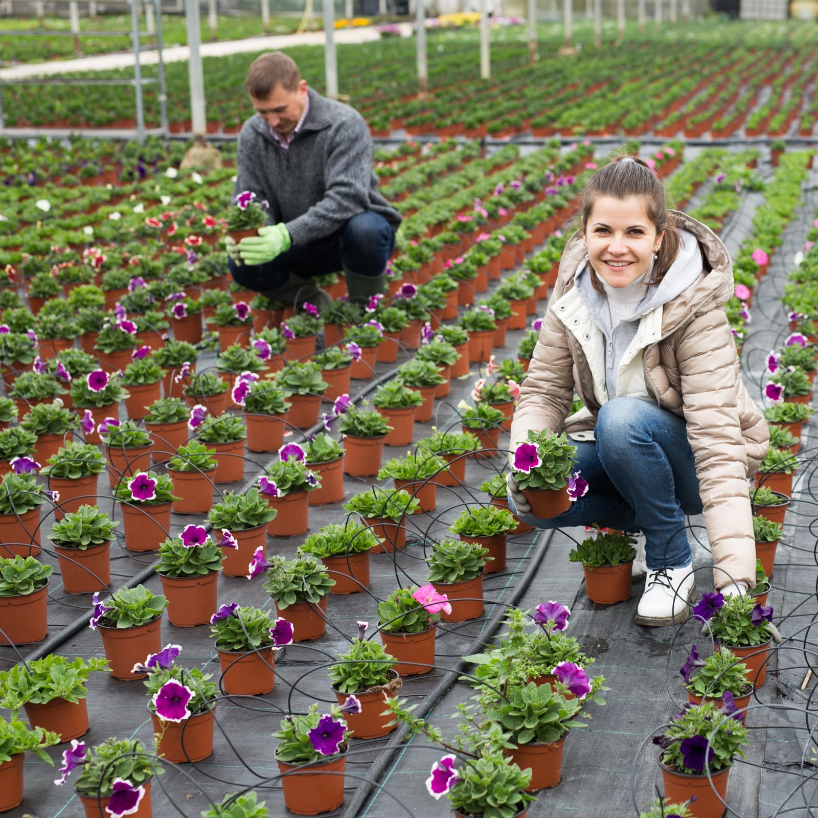BeapTcely bulk 1000-pack plastic pots for gardening supplies