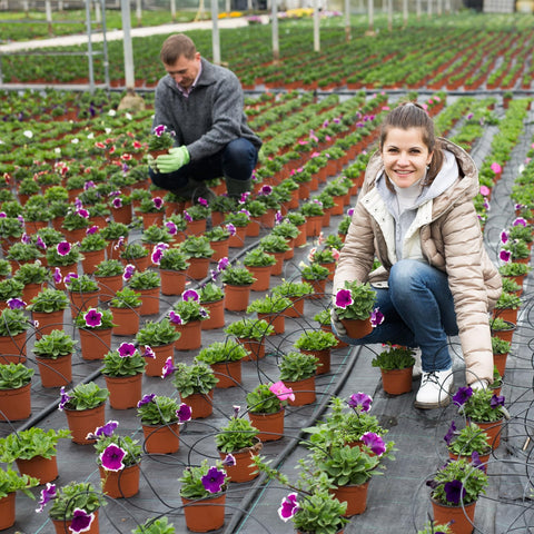 BeapTcely bulk 1000-pack plastic pots for gardening supplies