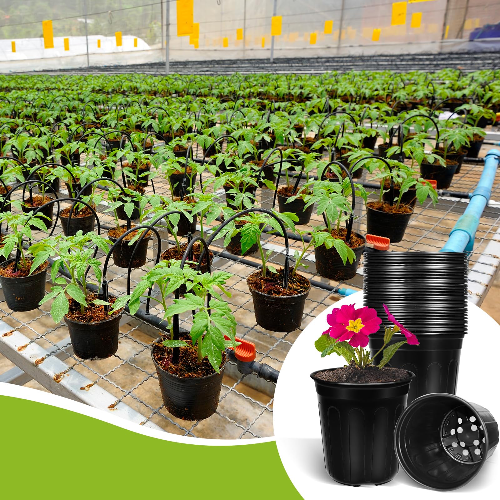 BeapTcely bulk-pack nursery pots suitable for large planting projects
