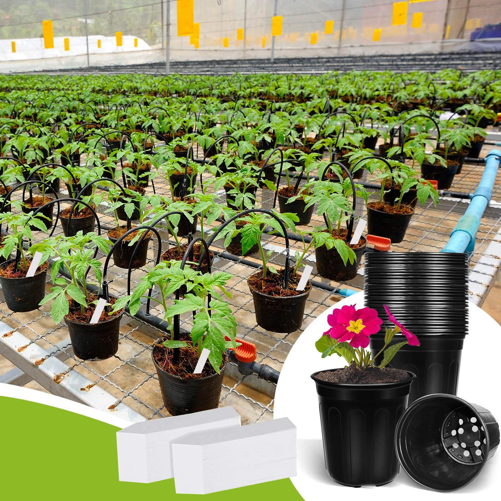 BeapTcely bulk seedling pot pack makes planning and sharing easier.