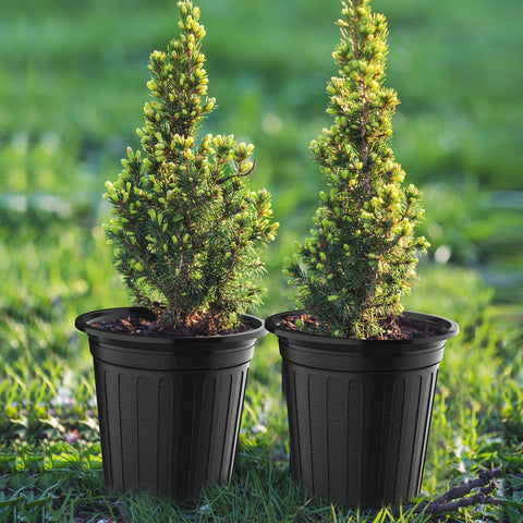 BeapTcely 10.6-inch opening provides roomy growth and easy handling