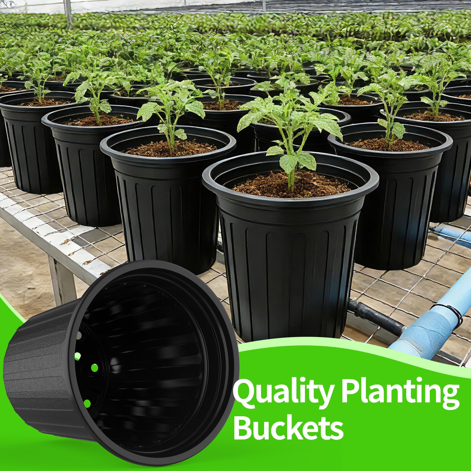 BeapTcely plant-labels with square tips help track plant data.