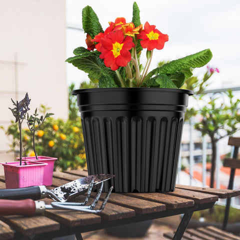 BeapTcely suitable for herbs, succulents, orchids, and tomatoes in pots