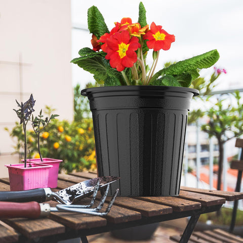 BeapTcely reusable pots support long-term gardening projects indoors or outdoors.