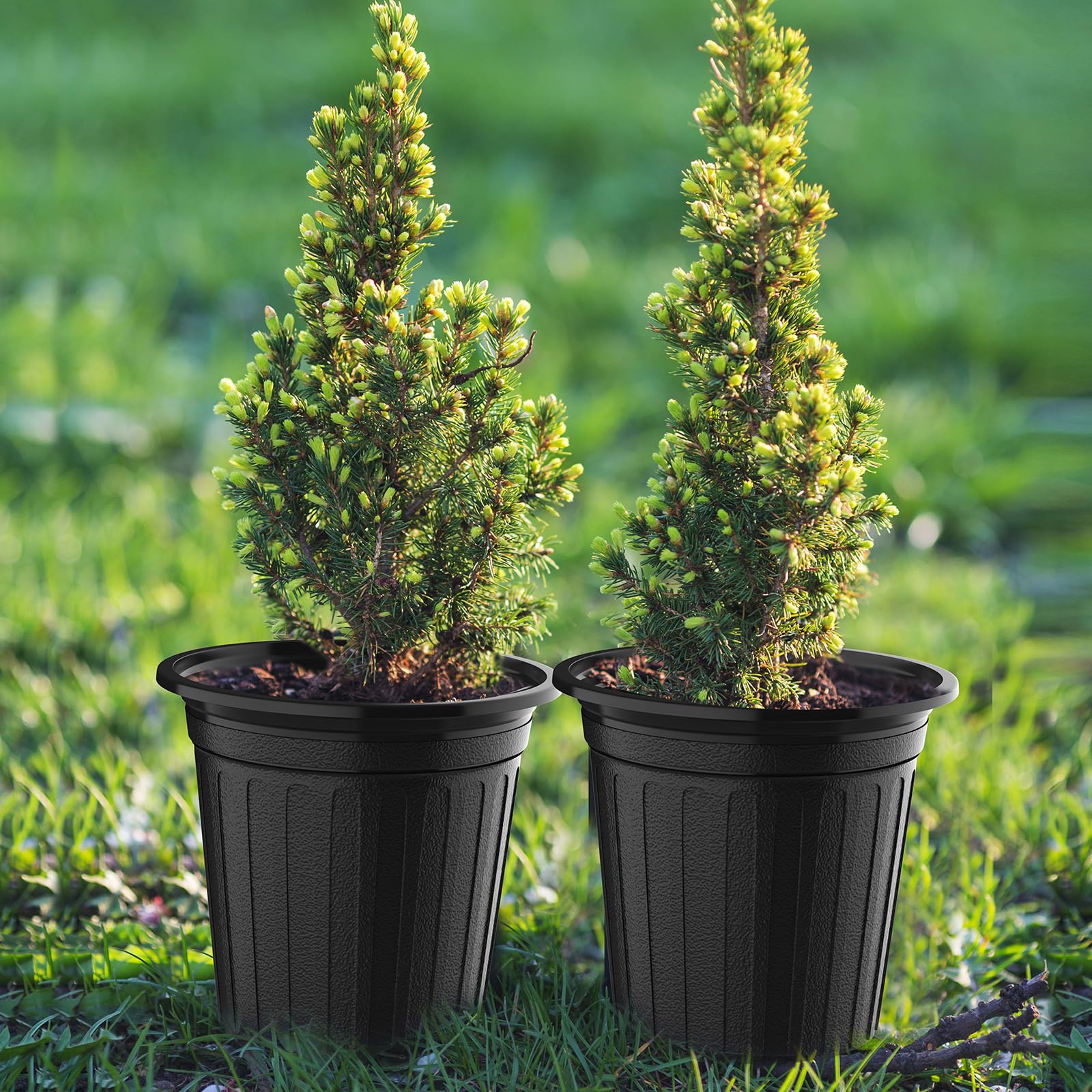BeapTcely seedling-and-transplant pot supports steady growth from young plants.